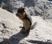 2018 07 Montana BTPRoad2 032